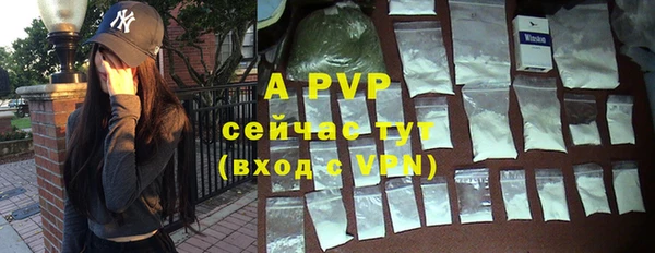 apvp Алексин